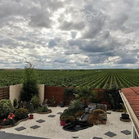 BouzyAu Bouchon Champenois住宿加早餐旅馆 外观 照片